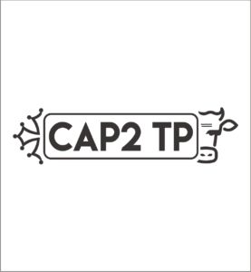 CAP 2 TP