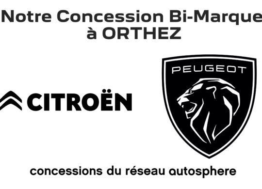 logo peugeot-citroen Orthez - 2