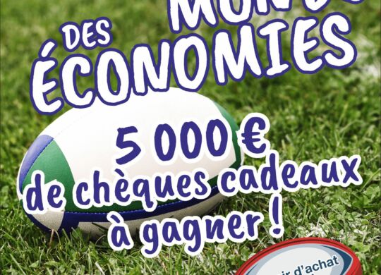 Citadine coupe du monde des economies