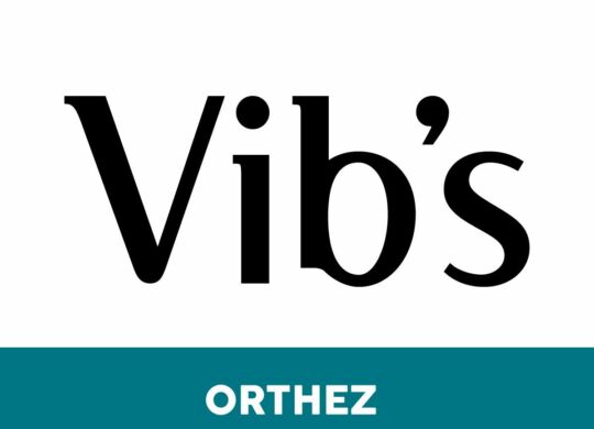 Logo Vibs
