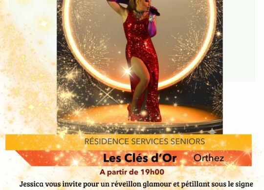 SAINT SYLVESTRE DOMITYS ORTHEZ