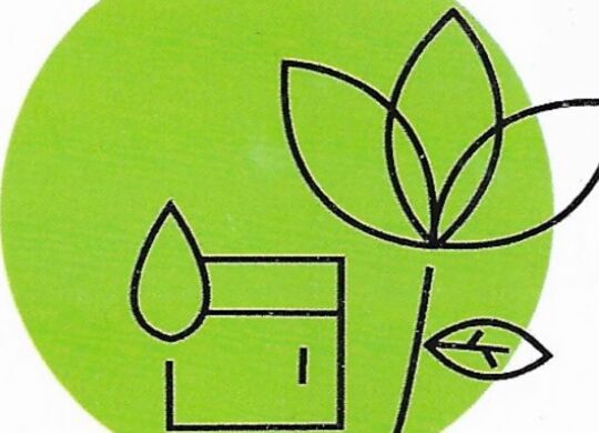 Logo Zenitussime