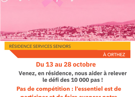 Flyer Domitys Défi